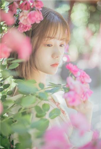 Huangtai software APP download free comprehensive web pages without restrictions