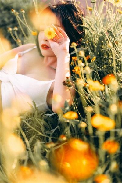 Paradise...the latest online version of Paradise Chinese high-quality version