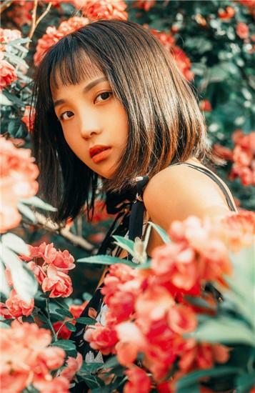 向日葵app下载网址进入18免费站长统计安卓解锁版截图0