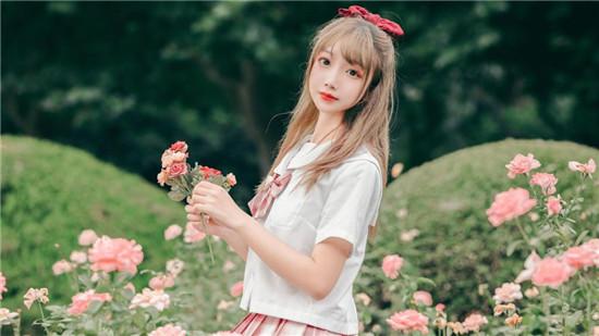 Sunflower Luffa Strawberry Guava Duck Neck