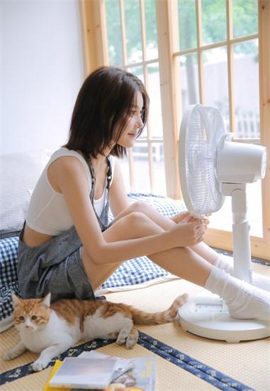 …Online Paradise Chinese Welfare Edition