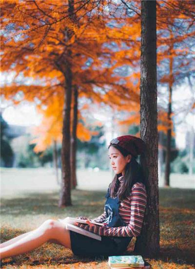 香草丝瓜樱桃向日葵鸭脖小猪解锁版