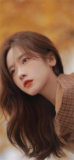 Luffa, Cucumber, Strawberry, Eggplant, Sunflower, Okra