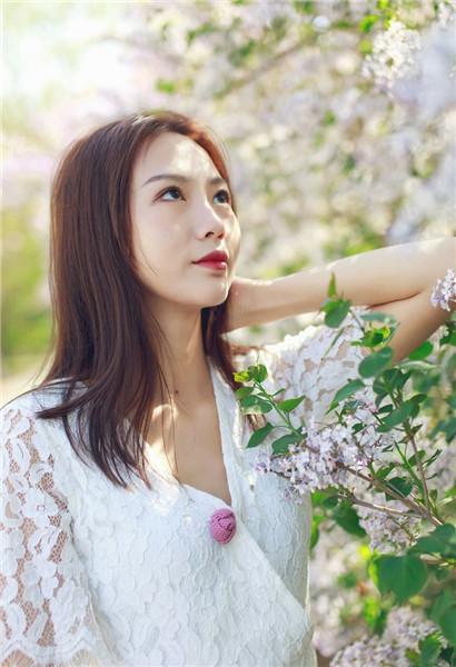 Domestic No Man's Land One Code, Two Codes and Three Codes MBA Latest Edition