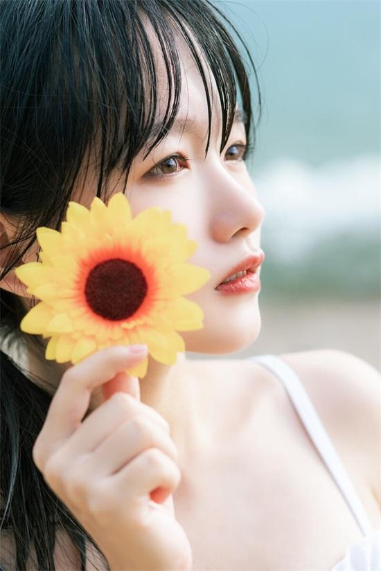 Wild Flowers Japan Encyclopedia Free to Watch 2019 Premium Edition