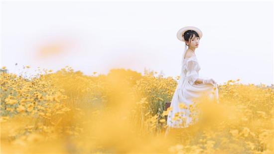 秋葵视频污片无限看大全截图0