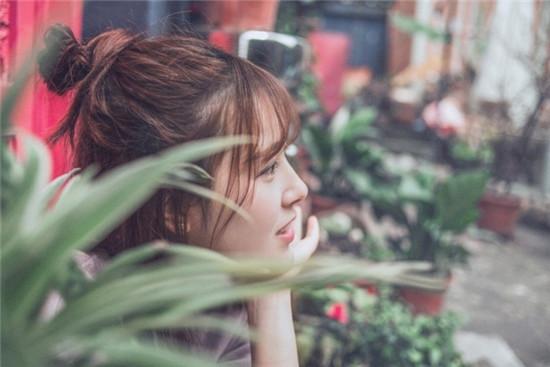 Strawberry Durian Sunflower Okra Hulk Free Lite