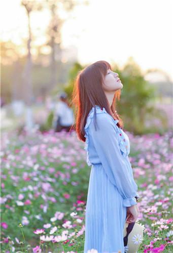 Luffa Banana Strawberry Sunflower Hulk Unlimited Viewing Edition