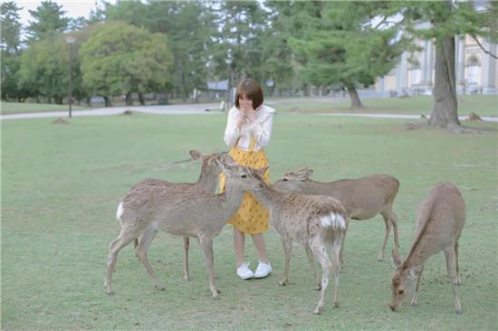 大菠萝app福引导welcome