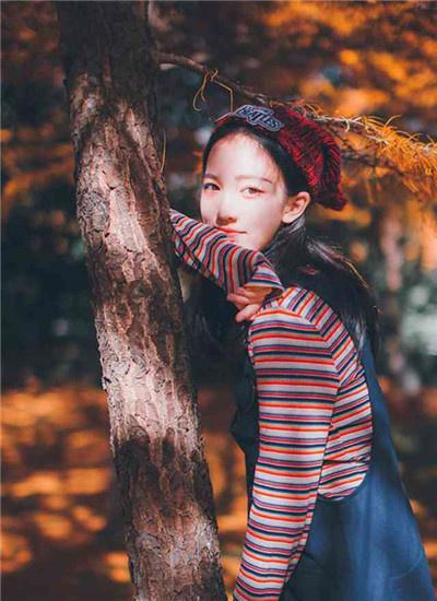 香草丝瓜樱桃向日葵鸭脖小猪解锁版