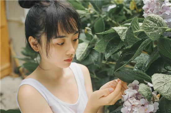 Xingbaofu Guava Sunflower Duck Neck Piggy