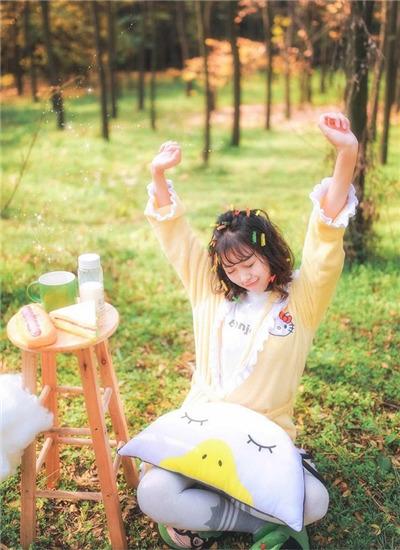 8008.Little Pig Video App