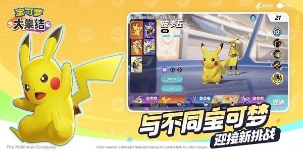 宝可梦大集结最新版截图1