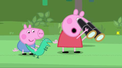 太阳直播TV版电视盒子版 v6.0.6截图2