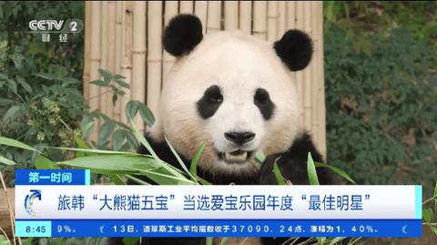 Mtv免授权版 v1.0.1截图1