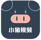 小猪视频官方下载
