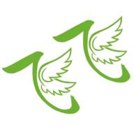 飞飞影视2024