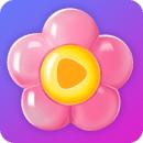 百花直播下载安装