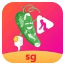 丝瓜视频污片app无限看
