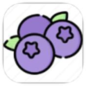 蓝莓音乐 在线听极速版