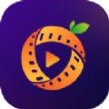 桔子影视 2025官方安卓版