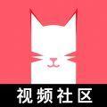 猫咪app视频 2025最新版下载
