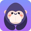 酷我聚星 最新版