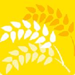 大麦影视投屏版