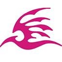 飞极速 电视剧免费观看在线版