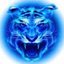 四虎影视 在线观看