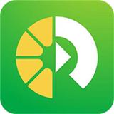 柚子影视 可投屏版