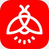 火萤视频壁纸 官网版