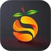 南果视频播放器