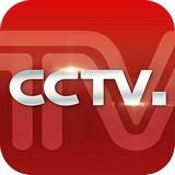 中央电视台 手机版