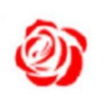 残花视频 最新版