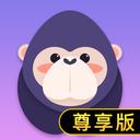 酷我直播 手机版